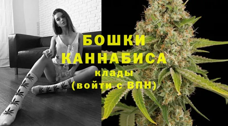 Конопля Bruce Banner  Югорск 